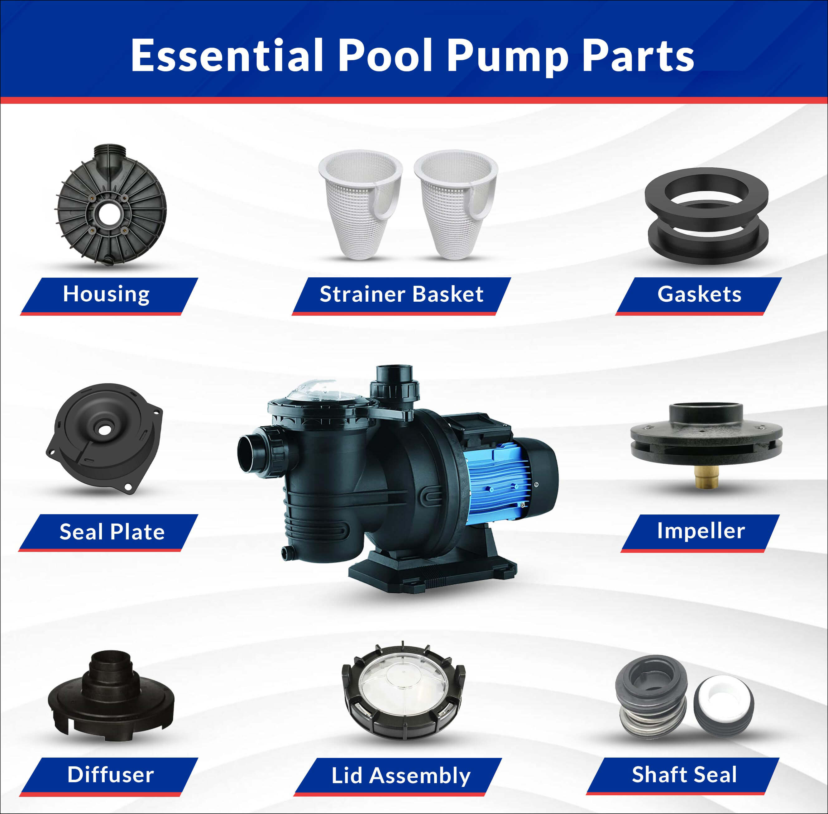 Pool Pump Parts